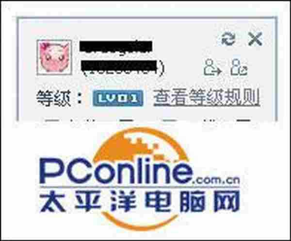 qq拼音输入法点亮图标的方法