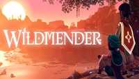 《荒原疗者》Wildmender怎么联机?联机方法介绍