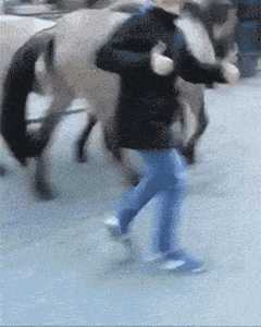 这是搔首弄姿黑段?动图 孩子果断放弃了学街舞的念头