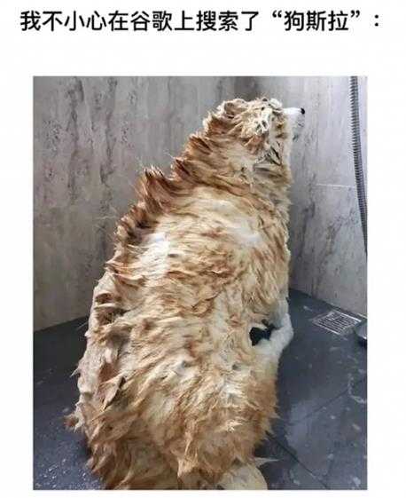 有线手柄比无线手柄更快乐 囧图 广东人怕热气吗?