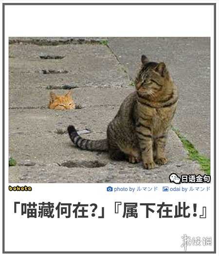 这才是真正的打Boss!囧图 把静香网袜套在头上爽吗?