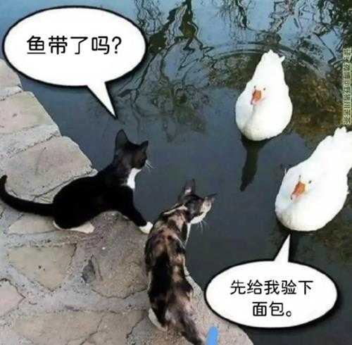 传送门是让你这样用的? 囧图 刷到你推特了,很崩溃