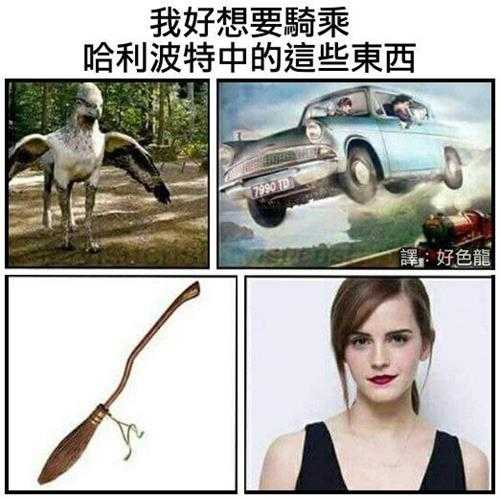 传送门是让你这样用的? 囧图 刷到你推特了,很崩溃