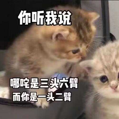 厕所里不让大小便怎么办?囧图 猫猫和妹子哪个可爱?