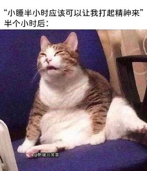 平平淡淡才是真啊 囧图 你在我家里放摄像头了?