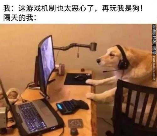 平平淡淡才是真啊 囧图 你在我家里放摄像头了?