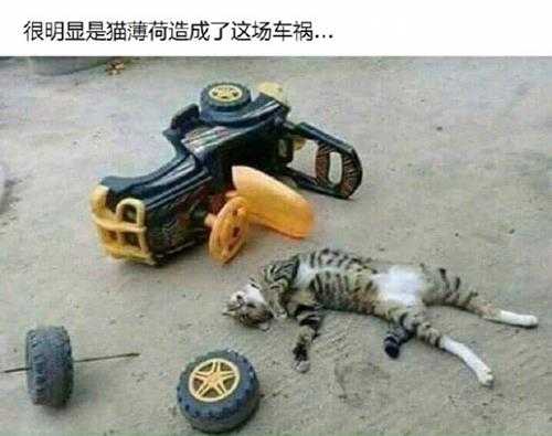 兄弟你洗手了吗? 囧图 大概是还在贤者时间里面吧