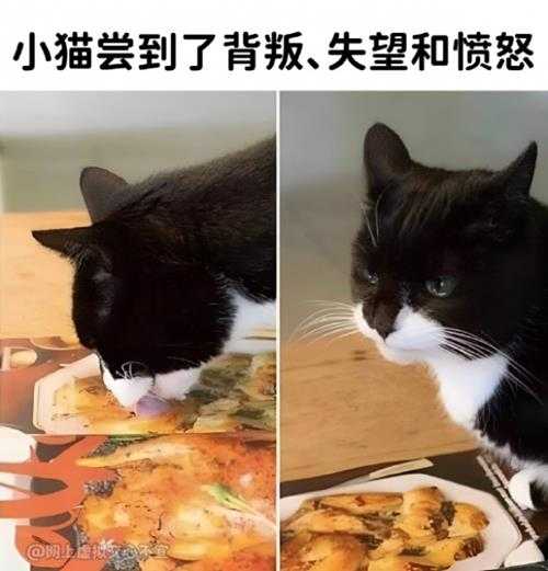 东三省原来是这种关系? 囧图 老板,来一瓶98号汽油