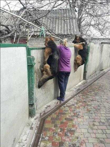 东三省原来是这种关系? 囧图 老板,来一瓶98号汽油