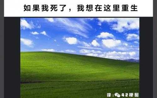是我家猫不让我上班的!囧图 两个人分着吃更有味道!
