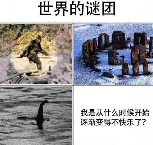 更适合中国宝宝体质的观赛 囧图 至少看一眼鸡!