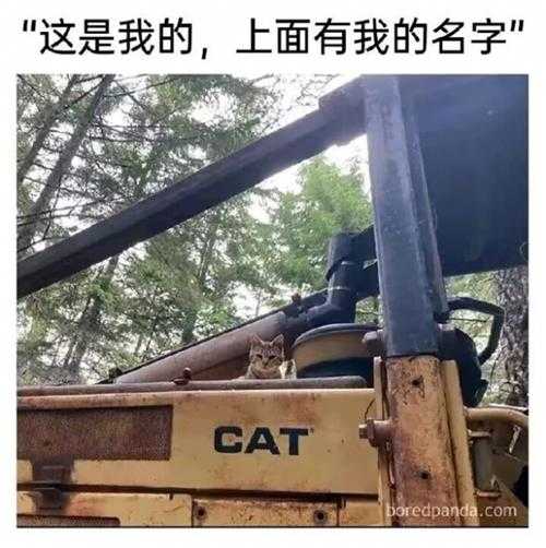 不提雨字,怎么描写雨很大?囧图 他们说这叫鸟瞰!