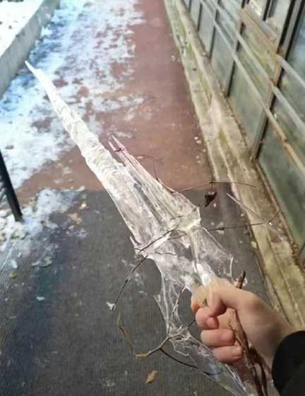 秃音未来见过没?囧图 这就是为什么要严打改装车