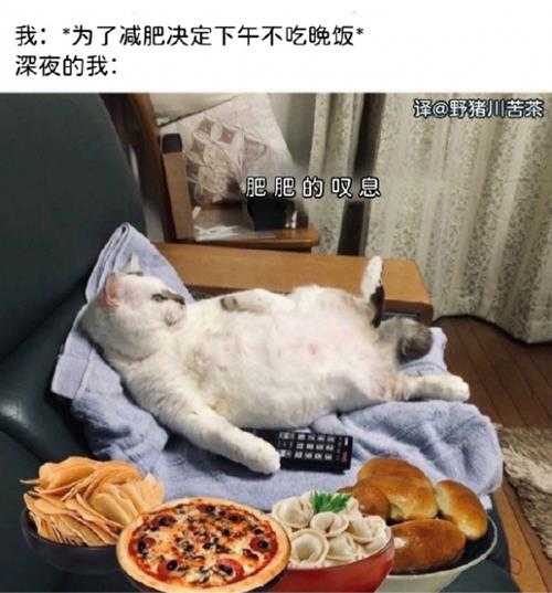 秃音未来见过没?囧图 这就是为什么要严打改装车