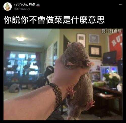 秃音未来见过没?囧图 这就是为什么要严打改装车