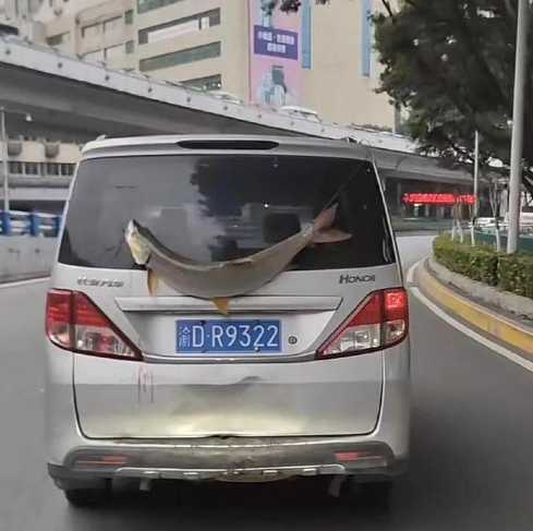 秃音未来见过没?囧图 这就是为什么要严打改装车