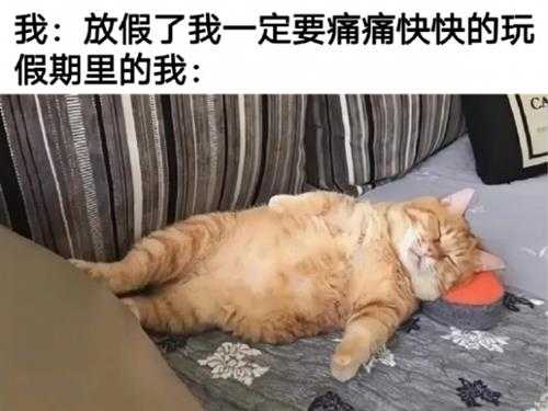 《沙丘2》海报怎么变这样了?囧图 竟有薯条味的香水