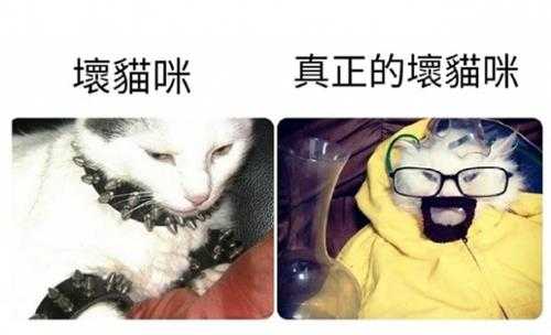 《沙丘2》海报怎么变这样了?囧图 竟有薯条味的香水