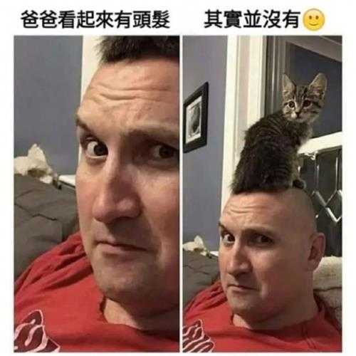 没想到爱丽丝的车灯这么大?囧图姑娘的腿真的这么白吗