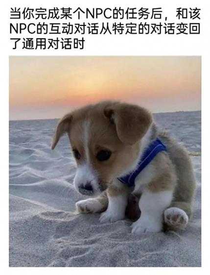 没想到爱丽丝的车灯这么大?囧图姑娘的腿真的这么白吗