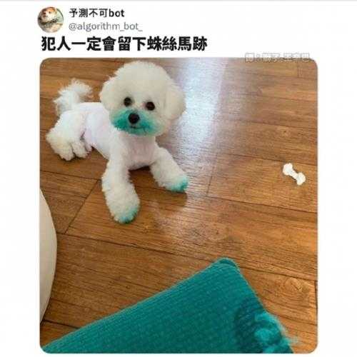 你们福瑞控都玩这么大吗? 囧图 再不拦住就要露馅了