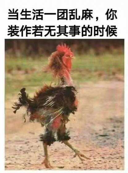 你们福瑞控都玩这么大吗? 囧图 再不拦住就要露馅了