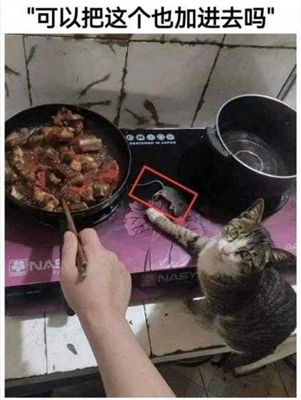 有线手柄比无线手柄更快乐 囧图 广东人怕热气吗?