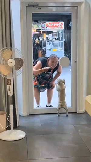 这拍的啥给我看看! 动图 吃香蕉那个怎么不放全!