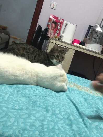 城里的姑娘真是又大又白 动图 妹子跳绳咋还掀裙子的?