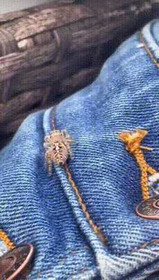 这拍的啥给我看看! 动图 吃香蕉那个怎么不放全!