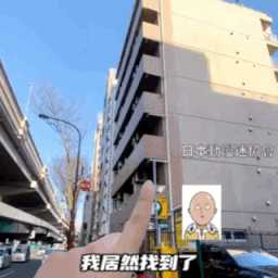 蛋究竟要怎么玩才好?动图 排球少女的臀部过于肥美