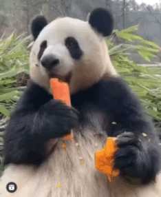 城里的姑娘真是又大又白 动图 妹子跳绳咋还掀裙子的?