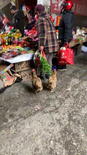 这是搔首弄姿黑段?动图 孩子果断放弃了学街舞的念头