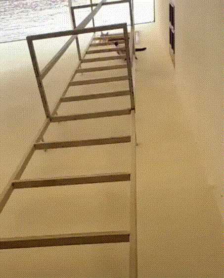 这拍的啥给我看看! 动图 吃香蕉那个怎么不放全!