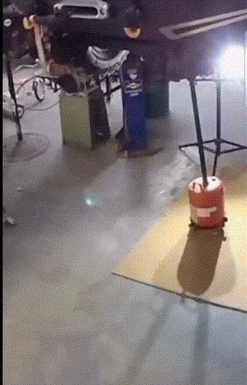 这拍的啥给我看看! 动图 吃香蕉那个怎么不放全!