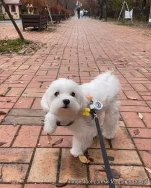 女生衣服湿了怎么办?动图 有这能力不会等分手才用