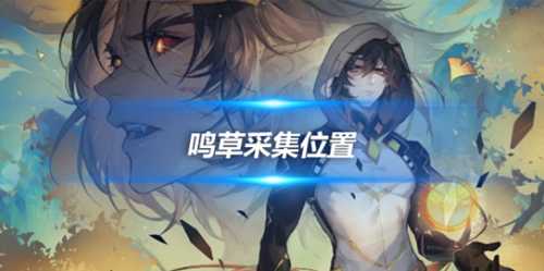 鸣草采集位置路线分享,2024新采集心得