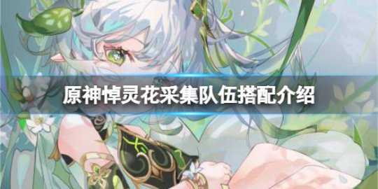 《原神》3.6悼灵花采集队伍怎么搭配?悼灵花采集队伍搭配介绍