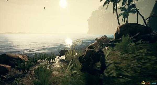 《先祖：人类奥德赛》生育规则分享