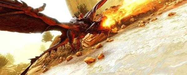 翼龙鞍多少级解锁