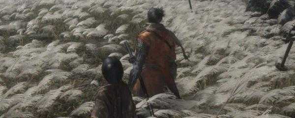 只狼爱哭鬼的指环在哪