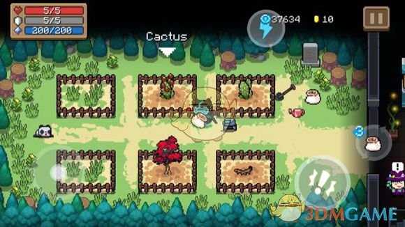 《元气骑士》仙人掌介绍 属性及获得方式一览