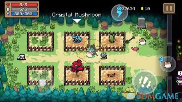 《元气骑士》水晶蘑菇介绍 属性及获得方式一览