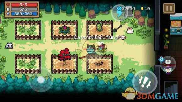 《元气骑士》曼陀罗花介绍 属性及获得方式一览