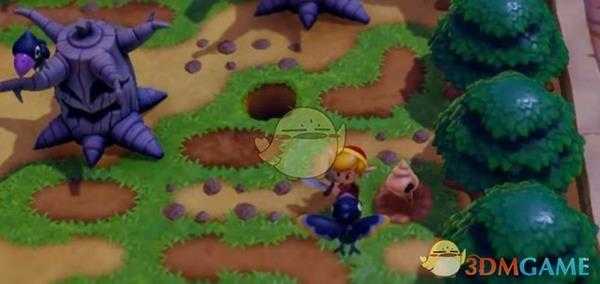 《塞尔达传说：织梦岛》可湖霖平原+塔巴林地+坟场贝壳位置介绍