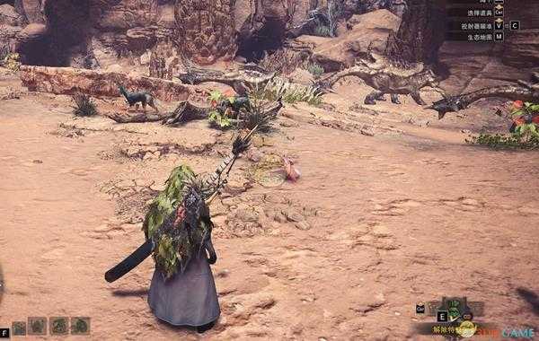 《怪物猎人：世界》大蚁冢荒地可捕捉生物一览