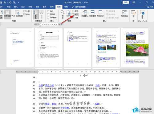 Word分屏功能怎么用?Word分屏显示设置教程