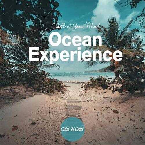 【休闲沙发】VA-2024-OceanExperience:ChilloutYourMind(FLAC)