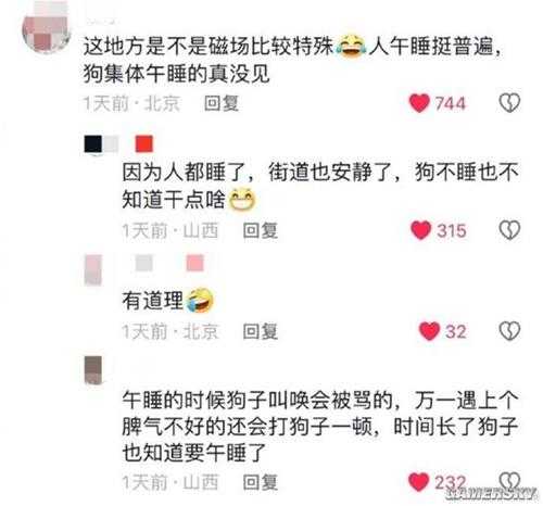 山西午睡文化已经不分物种了:家里的猫 路上的狗