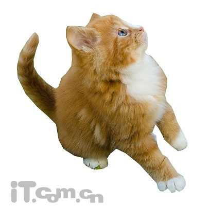 PS合成3D画:从相框当中冲出的鲨鱼